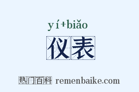 仪表是什么意思的图片